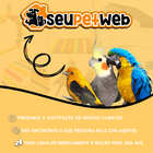 Cetodine Shampoo Antifúngico Dermatológico Lavizoo 500ml