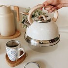 Chaleira Com Apito 2 7 L Em Alumínio Roma Brinox Vanilla