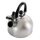 Chaleira Com Tampa E Apito Em Aço Inox 2 Litros