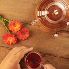 Chaleira De Vidro Com Infusor Para Ervas Lovely Bee 650ml Lyor