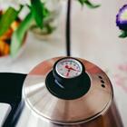 Chaleira Elétrica Bico De Ganso Hamilton Beach, Prata, 220v