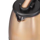 Chaleira Elétrica Hamilton Beach Cobre 40866-BZ 1500W 127V