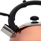 Chaleira Em Aço Inox Bronze 3 Litros Com Apito Mimo Style