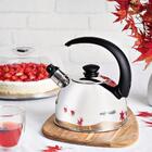 Chaleira Em Aço Inox Com Apito  2,1l E Bule Garrafa Térmica 1