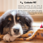 Chamar Para Brincar Aparelho De Comunicação Pet Cão Gato