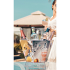 Champanheira Balde Gelo Porta 5 Garrafa Bar Acrílico Cristal