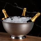 Champanheira Celebration 11 L Ix Ntcy