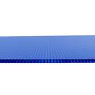 Chapa de Policarbonato Alveolar de 6mm 2,95X2,10m Azul Ajover