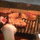 Chapa Grelha Para Churrasqueira Esmaltada 48,5x48,5 Pgc-005 -