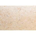 Chapa Osb 54cm X 60cm X 10mm