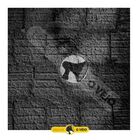 Chapisco Flex Resina Acrílica Elastment 900gr