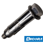 Chumbador Parabolt De Aço Inox 5/16x2.1/4 Parafuso Kit Com 10