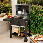 Churrasqueira a Carvão Centaurus Naterial