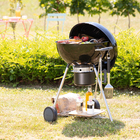 Churrasqueira a Carvão Phoenix Beta Naterial