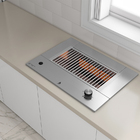 Churrasqueira A Gás De Embutir - Dxx300 Compact - Dinoxx - Gr