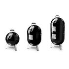 Churrasqueira E Defumador 3 Em 1 Napoleon Apolo As300 Preta