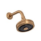 Chuveiro Acqua Plus Parede Tubo Curvo Gold Matte Deca