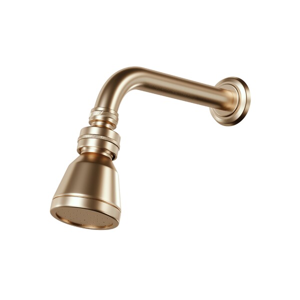 Chuveiro Articulado Parede Metal Champanhe Fani