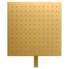 Chuveiro Articulado Parede Metal Eros Gold Fani