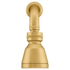 Chuveiro Articulado Parede Metal Gold Fani