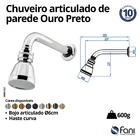 Chuveiro Articulado Parede Metal Gold Fani