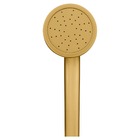 Chuveiro Articulado Parede Metal Gold Fani