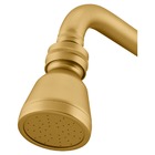 Chuveiro Articulado Parede Metal Gold Fani