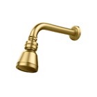 Chuveiro Articulado Parede Metal Gold Fani