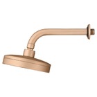 Chuveiro Articulado Parede Metal Mix 3000ch500 Champanhe Fani