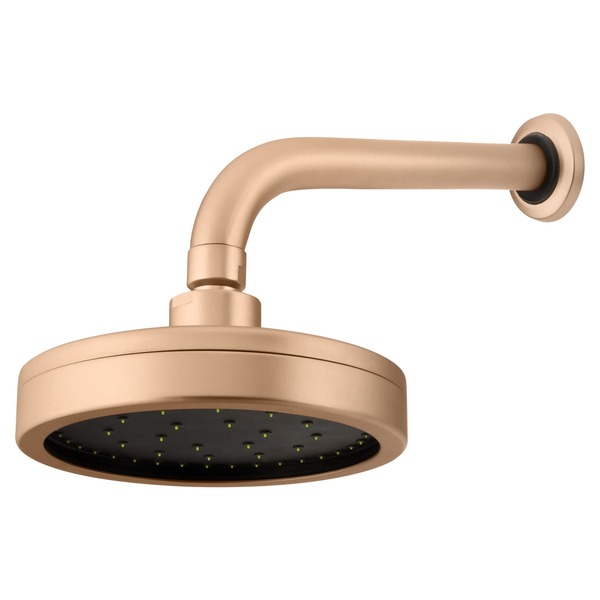 Chuveiro Articulado Parede Metal Mix 3000ch500 Champanhe Fani