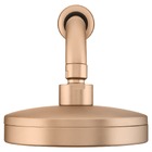 Chuveiro Articulado Parede Metal Mix 3000ch500 Champanhe Fani