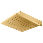 Chuveiro Articulado Parede Metal Platina Gold Fani