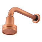 Chuveiro Articulado Parede Metal Rubi Rose Gold Fani