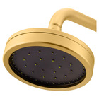 Chuveiro Articulado Parede Mix Gold Fani