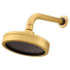 Chuveiro Articulado Parede Mix Gold Fani