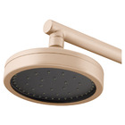 Chuveiro Articulado Parede Mix Plus Champanhe Fani