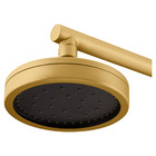 Chuveiro Articulado Parede Mix Plus Gold Fani