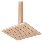 Chuveiro Articulado Teto Metal 30cm Versata 3100ch120 Champan