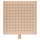 Chuveiro Articulado Teto Metal 30cm Versata 3100ch120 Champan