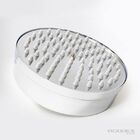 Chuveiro Com Braço Em  Inox Cromado E Crivo De Abs