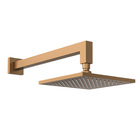 Chuveiro De Parede Rose Escovado