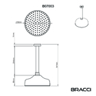 Chuveiro De Teto Dourado