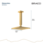 Chuveiro De Teto Dourado