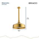 Chuveiro De Teto Dourado Escovado