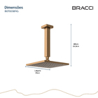 Chuveiro De Teto Rose Escovado