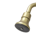 Chuveiro Ducha Articulável Gás Ou Solar Dourado Gold Fosco