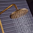 Chuveiro Ducha Misturador Banheira Vintage Bronze Q/f