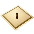 Chuveiro Ducha Teto Inox Dourado 20x20 Slim Luxo Suporte Quad