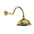 Chuveiro Luxo Retrô Monocomando Dourado Brilhante