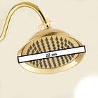 Chuveiro Luxo Retrô Monocomando Dourado Brilhante